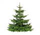 Nordmann Kerstboom A-keuze 150 - 200 cm
