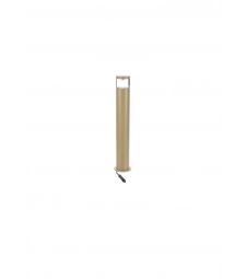 Sus Sense Champagne 24V